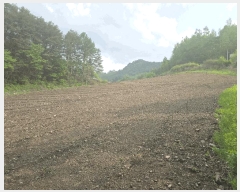  2025Ÿ��688  �����