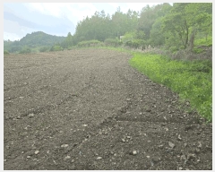  2025Ÿ��688  �����