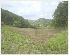  2025Ÿ��688  �����