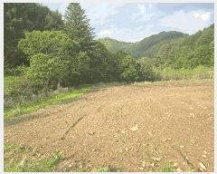  2025Ÿ��688  �����