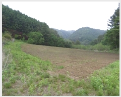  2025Ÿ��688  �����