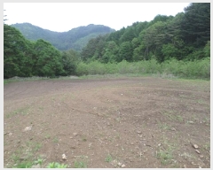  2025Ÿ��688  �����