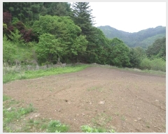  2025Ÿ��688  �����