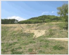  2025Ÿ��749 ���� ���ֽ� ���ʸ� ��縮 1409      ����(��1)���