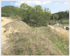  2025Ÿ��749 ���� ���ֽ� ���ʸ� ��縮 1409      ����(��1)���