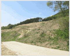  2025Ÿ��749 ���� ���ֽ� ���ʸ� ��縮 1409      ����(��1)���