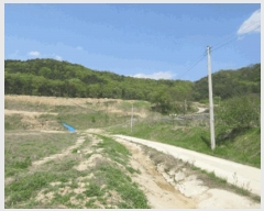  2025Ÿ��749 ���� ���ֽ� ���ʸ� ��縮 1409      ����(��1)���