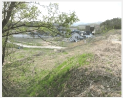  2025Ÿ��749 ���� ���ֽ� ���ʸ� ��縮 1409      ����(��1)���