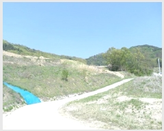  2025Ÿ��749 ���� ���ֽ� ���ʸ� ��縮 1409      ����(��1)���