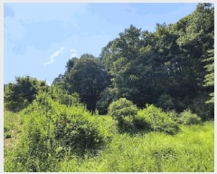  2025Ÿ��824  ����