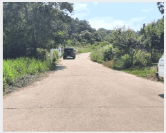  2025Ÿ��824  ����