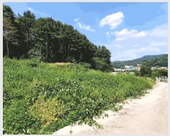  2025Ÿ��824  ����