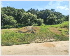  2025Ÿ��824  ����