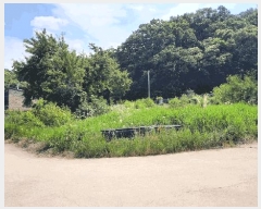  2025Ÿ��824  ����