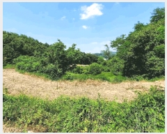  2025Ÿ��824  ����