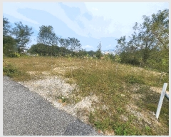  2025Ÿ��992 ���� ���ֽ� ���ǵ� ��118-10       ����(�Ӿ�)���