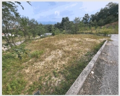  2025Ÿ��992 ���� ���ֽ� ���ǵ� ��118-10       ����(�Ӿ�)���