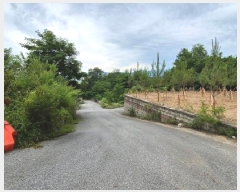  2025Ÿ��992 ���� ���ֽ� ���ǵ� ��118-10       ����(�Ӿ�)���