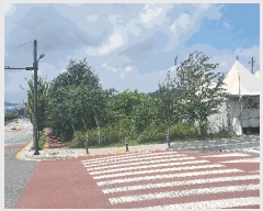  2025Ÿ��1216 ���� ���ֽ� �౸�� 1853-1       ��Ÿ�������