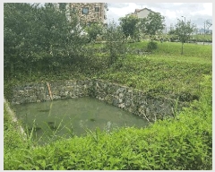  2025Ÿ��1216 ���� ���ֽ� �౸�� 1853-1       ��Ÿ�������