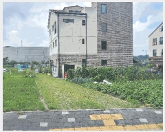  2025Ÿ��1216 ���� ���ֽ� �౸�� 1853-1       ��Ÿ�������