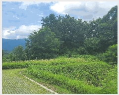  2025Ÿ��1216 ���� ���ֽ� �౸�� 1853-1       ��Ÿ�������