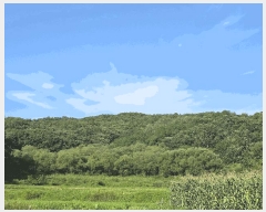  2025Ÿ��1445 ���� ���ֽ� ������ ���̸� ��71      ����(�Ӿ�)���