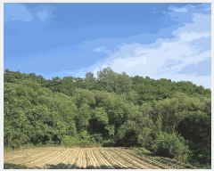  2025Ÿ��1445 ���� ���ֽ� ������ ���̸� ��71      ����(�Ӿ�)���