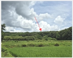  2025Ÿ��1445 ���� ���ֽ� ������ ���̸� ��71      ����(�Ӿ�)���