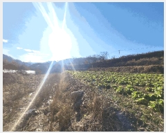  2025Ÿ��1476  �����
