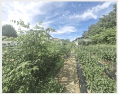  2025Ÿ��20095 ���� ���ֽ� ���嵿 1024-1 1�� 1ȣ     �ټ���,������