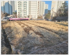  2025Ÿ��20163 ���� ���ֽ� ����� ����� 166-3      ����(��1)���