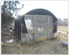  2025Ÿ��20163 ���� ���ֽ� ����� ����� 166-3      ����(��1)���