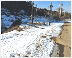  2025Ÿ��20231  ���(ķ����)���