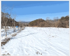  2025Ÿ��20231  ���(ķ����)���