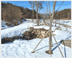  2025Ÿ��20231  ���(ķ����)���