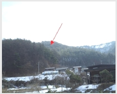  2025Ÿ��20466 ���� Ⱦ���� û�ϸ� ������ ��53      ����(�Ӿ�)���