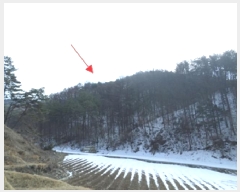  2025Ÿ��20466 ���� Ⱦ���� û�ϸ� ������ ��53      ����(�Ӿ�)���