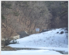  2025Ÿ��20466 ���� Ⱦ���� û�ϸ� ������ ��53      ����(�Ӿ�)���