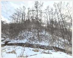  2025Ÿ��20466 ���� Ⱦ���� û�ϸ� ������ ��53      ����(�Ӿ�)���