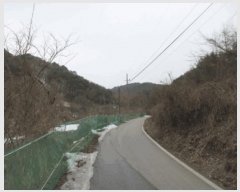  2025Ÿ��20499  �����