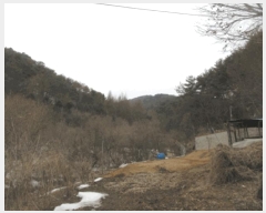  2025Ÿ��20499  �����