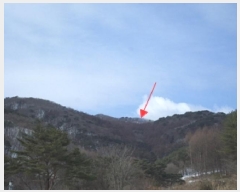  2025Ÿ��20499  �����