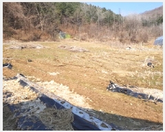  2025Ÿ��20509 ���� ���ֽ� ������ ��� 1065-2      ����(��1)���