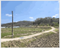  2025Ÿ��20565  �����