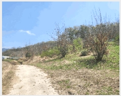  2025Ÿ��20565  �����