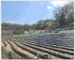  2025Ÿ��20565  �����