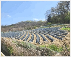  2025Ÿ��20565  �����