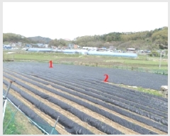  2025Ÿ��20565  �����