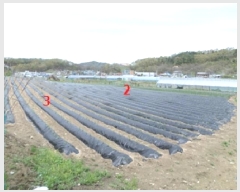  2025Ÿ��20565  �����